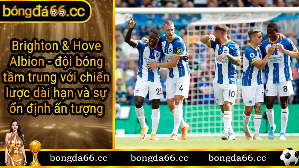 Brighton Hove Albion với chiến thuật ổn định và lối chơi có tổ chức tại Premier League