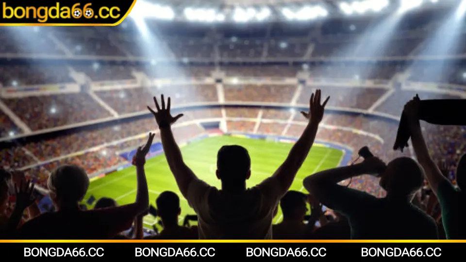 Cộng đồng người chơi tại Bongda66 trao đổi kinh nghiệm soi kèo nhà cái và chia sẻ mẹo cá cược bóng đá hiệu quả