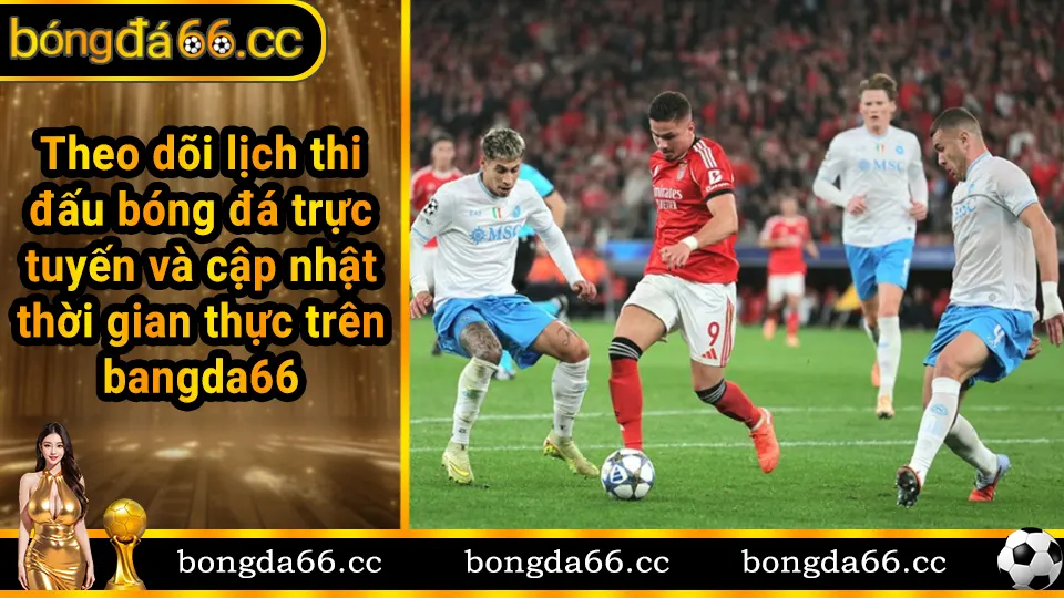 Theo dõi lịch thi đấu bóng đá trực tuyến và cập nhật thời gian thực trên bóngđá66