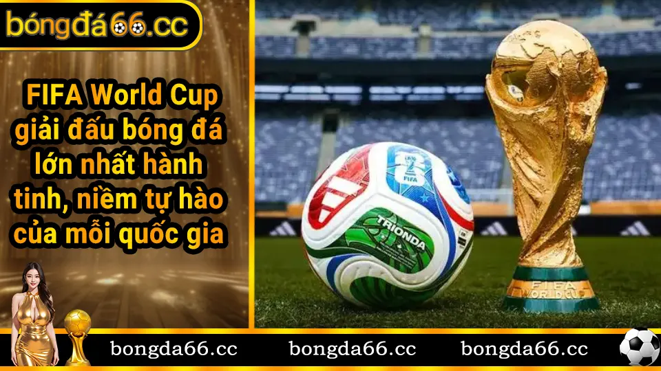Cúp vô địch World Cup - giải đấu bóng đá lớn nhất hành tinh