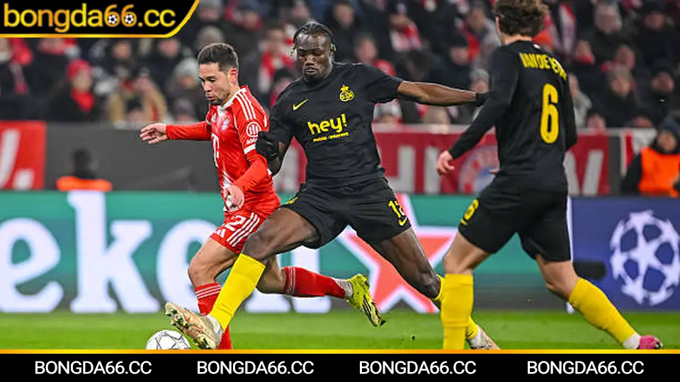 Ajax: Bản sắc “Total Football”, biến động thế hệ và cách đọc kèo thông minh trên bongda66