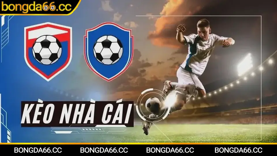 Phân tích kèo Al Sadd trên bongda66 theo biến động chấp và tài xỉu