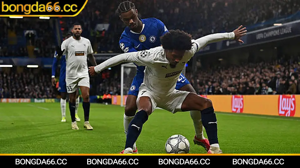 Arsenal đấu với Newcastle: dự đoán kịch bản và chọn kèo châu Á