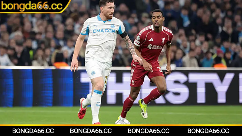 Auckland City: “Ông vua châu Đại Dương” và cách đọc kèo chuẩn khi họ ra sân