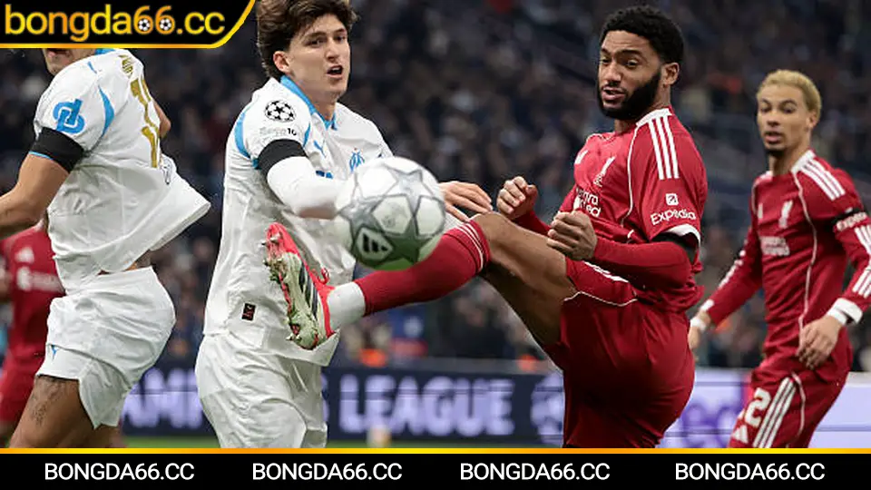 Benfica trên bảng xếp hạng bóng đá mùa 2025/26 và xu hướng điểm