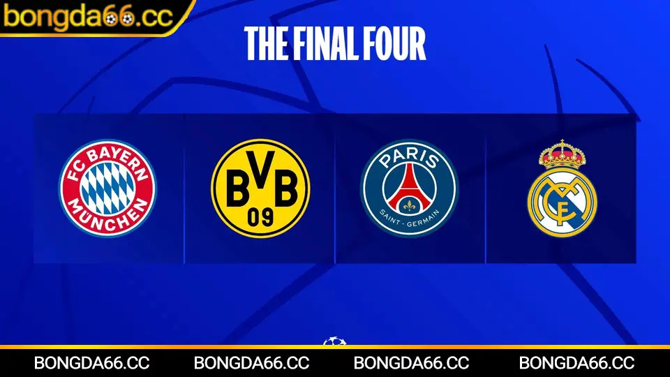 Biến động kèo nhà cái trước giờ bóng lăn, đọc tỷ lệ chuẩn