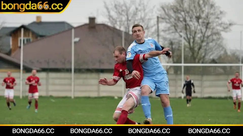 Biến động ty le kèo trước giờ lăn bóng và dòng tiền thị trường