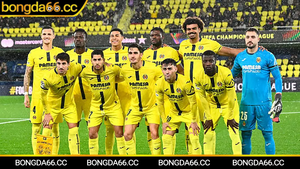 Bóng đá tỷ lệ biến động kèo nhà cái để nhận định bóng đá nét