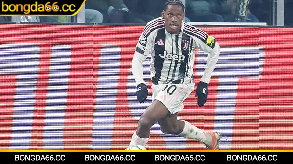 Brighton: Từ “chim mòng biển” khó chịu đến đội bóng định hình xu hướng kèo tại Ngoại hạng Anh