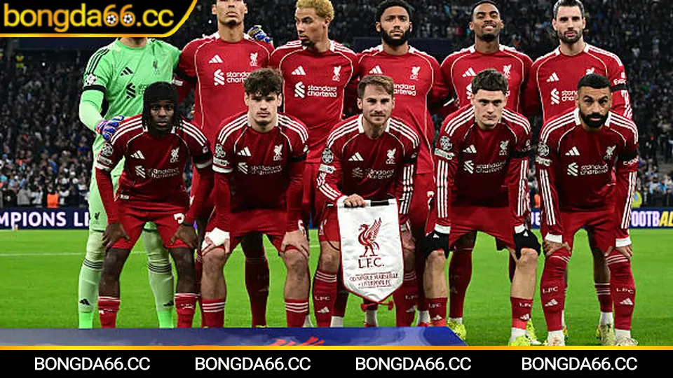 CAND dự báo trận đấu và soi kèo hiệu quả cùng bongda66 hôm nay