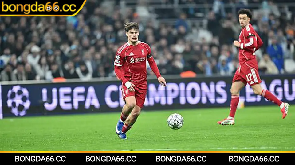 Cập nhật tỷ lệ kèo bóng đá và thứ hạng giải ASEAN tại bongda66