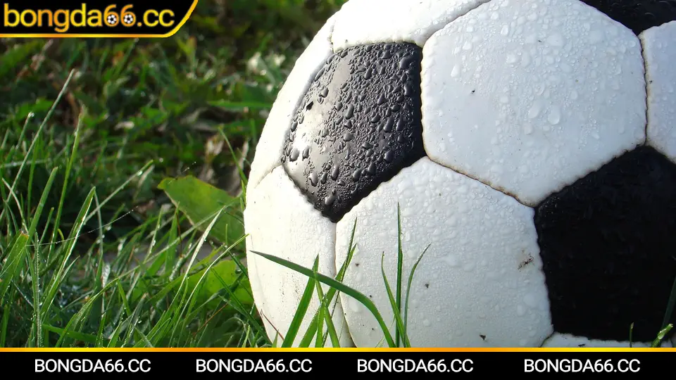 Chung kết World Cup 2022 bóng đá Argentina vs Pháp kịch tính