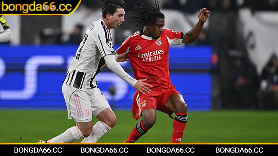 Đọc tỷ lệ kèo châu Á châu Âu tài xỉu theo dữ liệu trận đấu