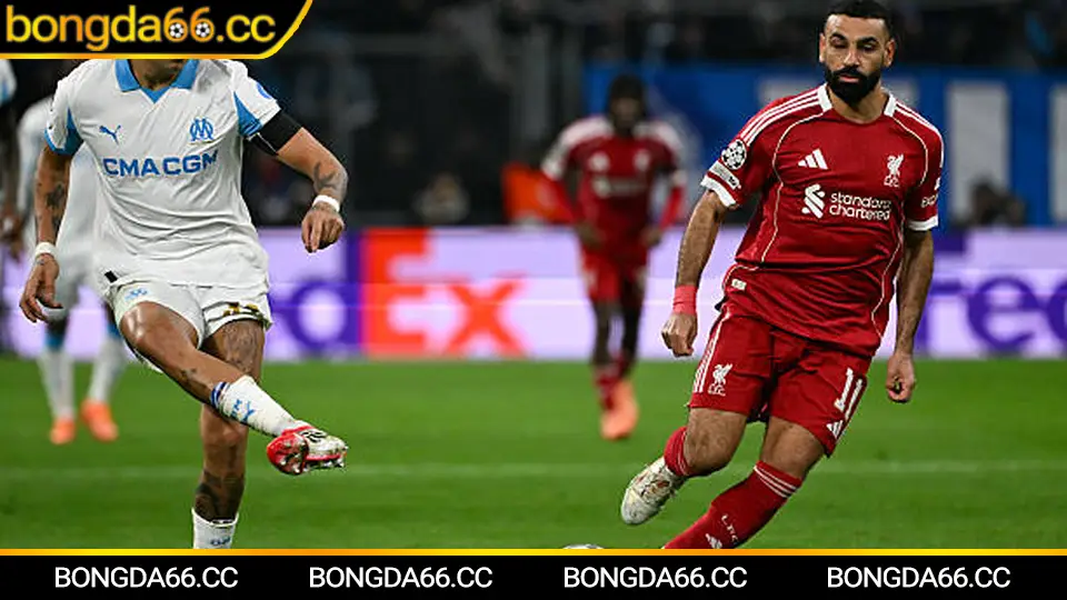 Dự báo kèo Đông Á Thanh Hóa tại V.League 2026 theo phong độ