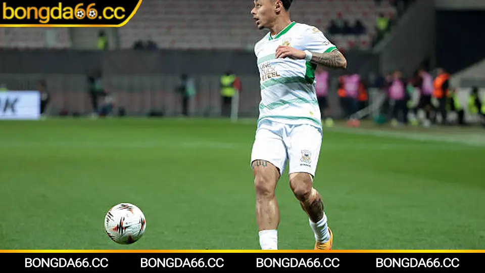 Dự báo xu hướng Khánh Hòa FC năm 2026 cho người chơi kèo