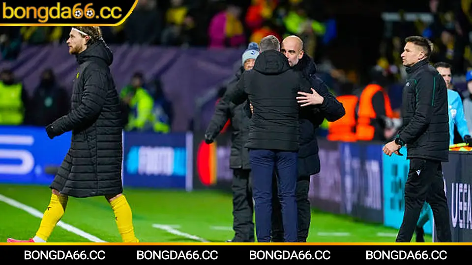 Dự đoán tỷ số arsenal đấu với newcastle và gợi ý soi kèo