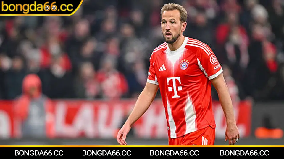 Dự đoán tỷ số và mẹo cá cược lịch thi đấu Ngoại hạng Anh 2025/26 trên Bongda66.cc