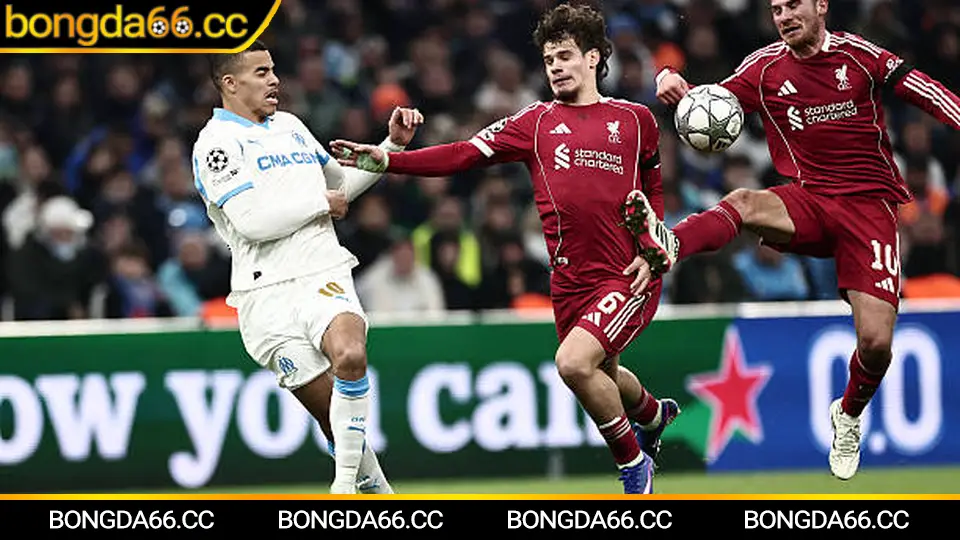 Dự phóng kèo Santos: kịch bản cửa trên cửa dưới và chiến lược chọn kèo