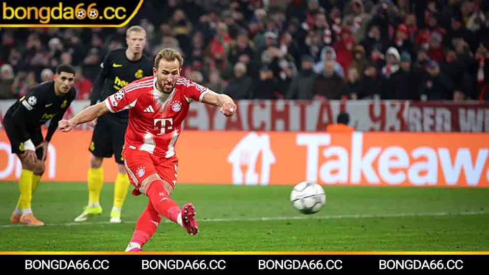 Everton tại Goodison Park: bản sắc Toffees và nhịp kèo sân nhà