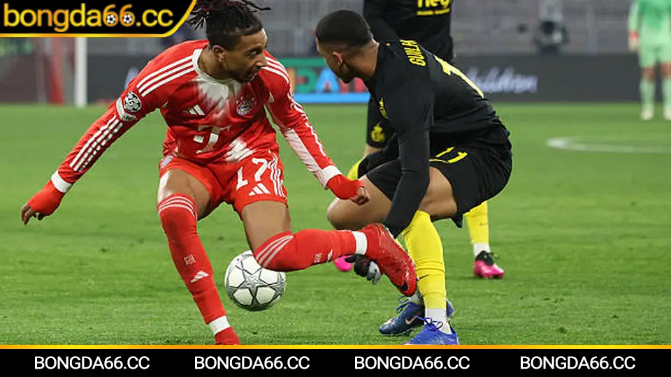 Hoàng Anh Gia Lai với bản sắc phố Núi và nhịp độ V.League