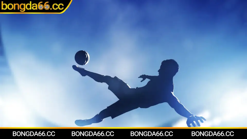 Hướng dẫn soi kèo nhà cái trên bongda66, chọn cửa theo dữ liệu và kỷ luật