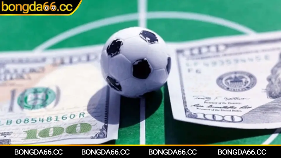 Theo dõi kèo Becamex Bình Dương trên bongda66 trước giờ bóng lăn