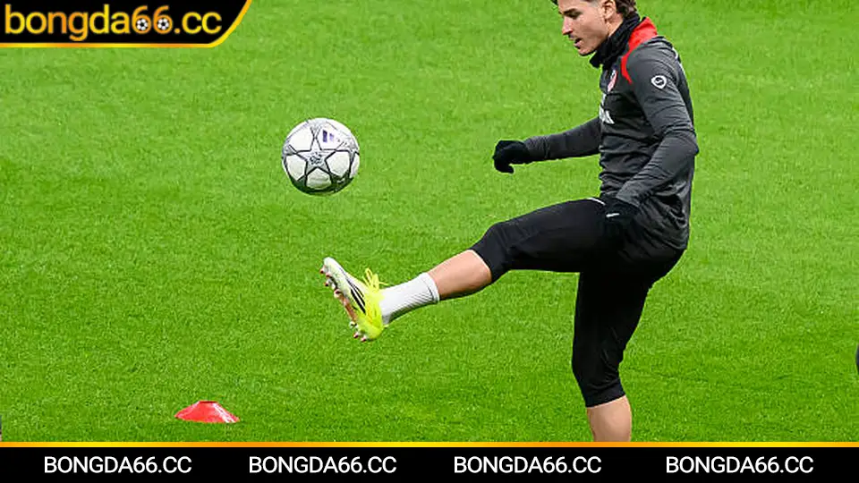 Tottenham Đấu Với Liverpool: Lịch Sử Hào Hùng Và Dự Đoán Kèo Bóng Đá Hấp Dẫn