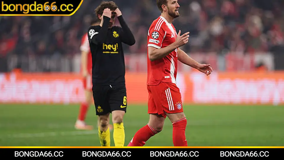 Kèo nhà cái 5: đọc biến động tỷ lệ trước giờ lăn bóng