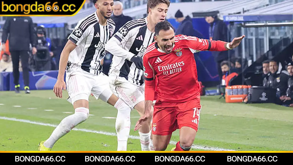 Lazio mùa 2025/26: dự đoán xu hướng kèo nhà cái và điểm rơi