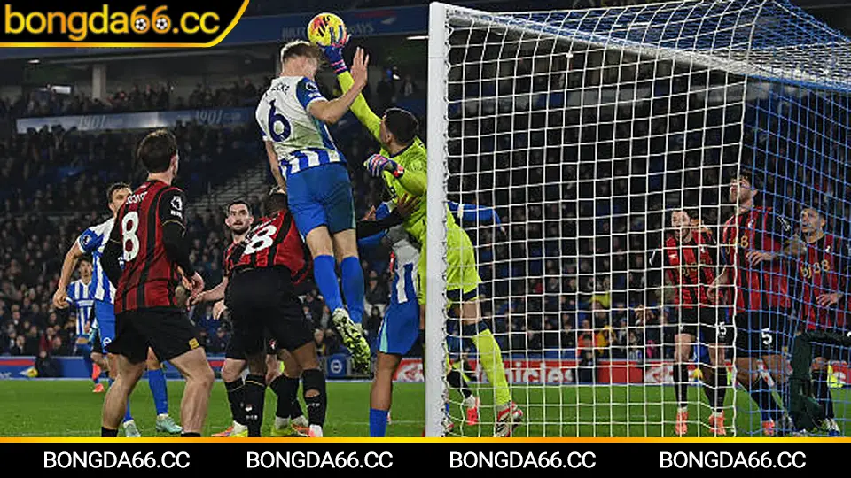 Lịch thi đấu hôm nay 29/01/2026: Đọc kèo theo nhịp biến động, chọn điểm vào lệnh thông minh