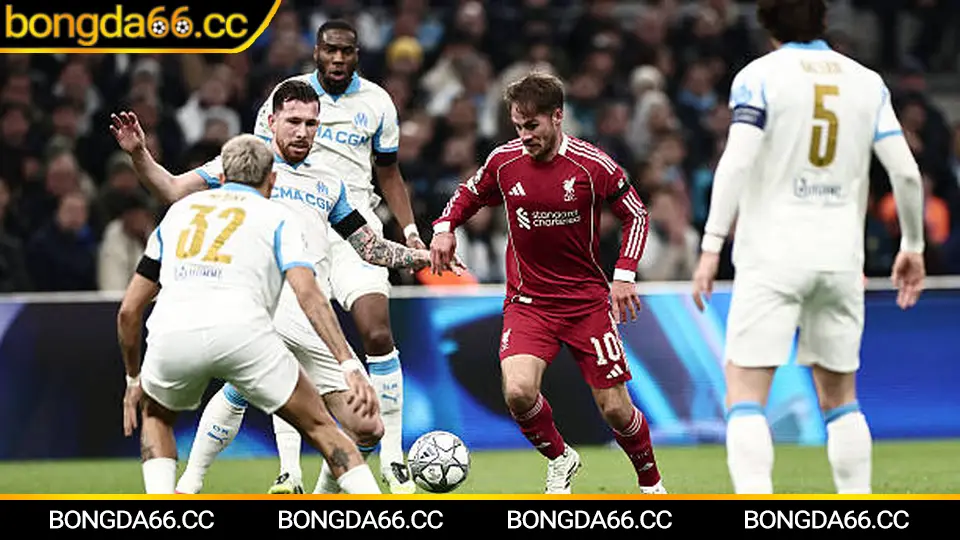 Lịch thi đấu MU cập nhật nhanh theo vòng đấu và giờ đá chuẩn