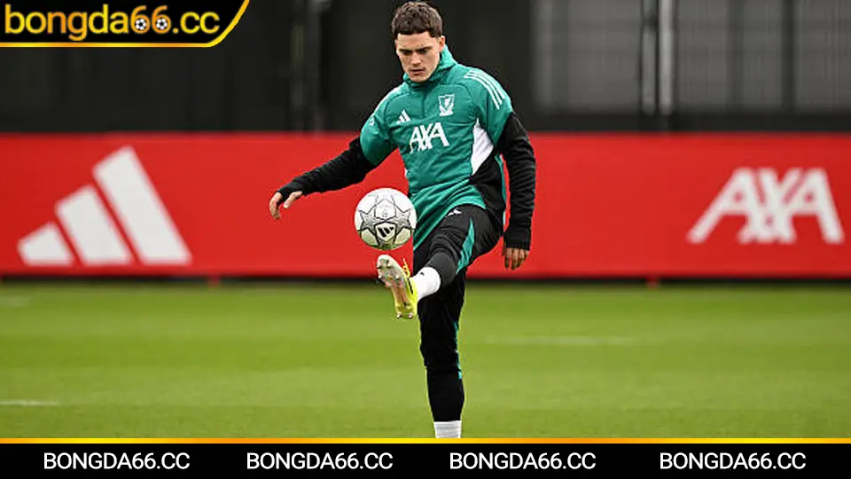 Lịch thi đấu ngoại hạng anh 2025/26 giúp soi kèo theo chuỗi trận