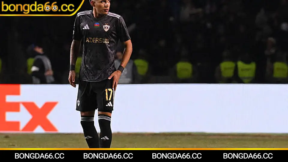 Mẹo đọc bảng xếp hạng Serie A để soi kèo hiệu quả trên bongda66