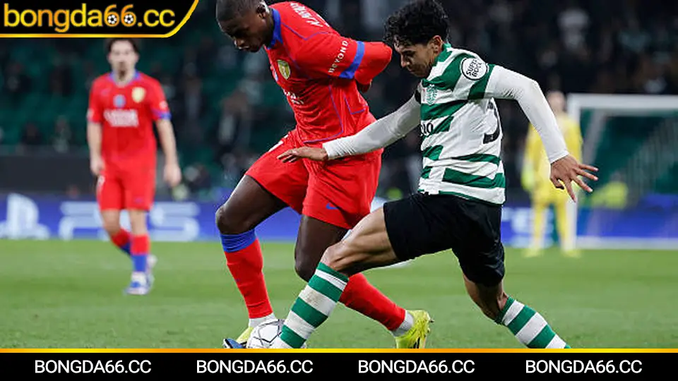 Mẹo đọc tỷ lệ cá cược bóng đá hôm nay và quản lý vốn hiệu quả