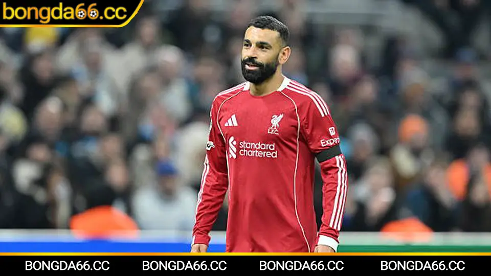 Mẹo xem bóng đá trực tiếp mượt: mạng ổn định và theo dõi kèo