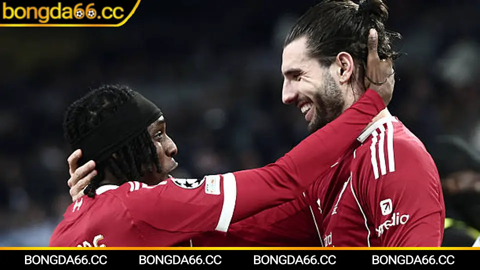 Lịch đá bóng hôm nay 29/01/2026: khung giờ vàng, điểm nóng giải đấu và góc nhìn kèo trên bongda66