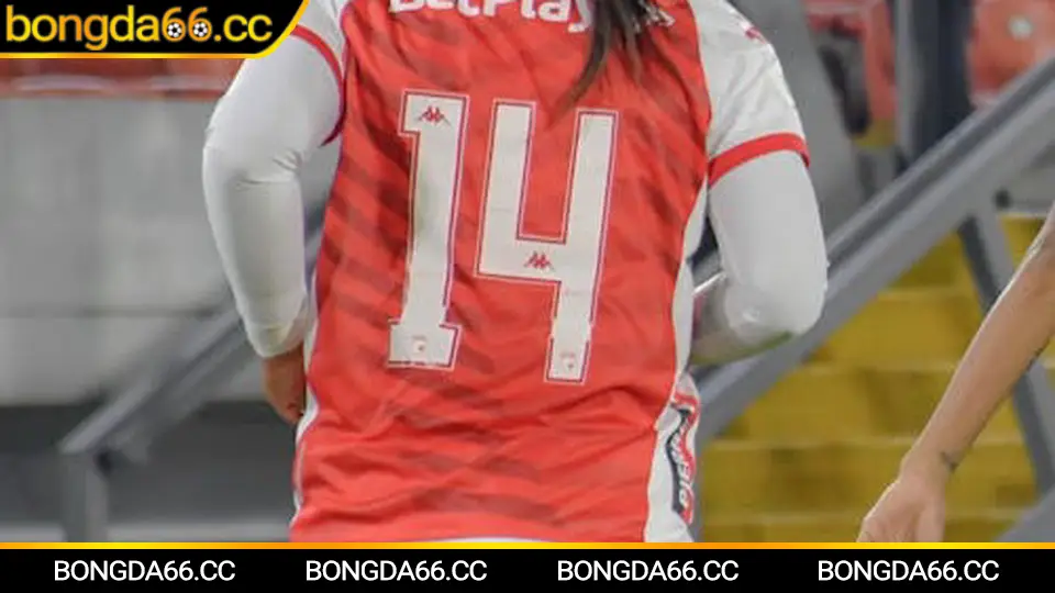 Nhận định bóng đá hôm nay: Đọc biến động tỷ số, soi kèo nhà cái và chốt chiến lược cược an toàn trên bongda66