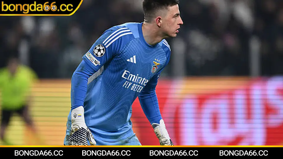 Phân tích chiến thuật Bayer Leverkusen với chuyển trạng thái tốc độ cao