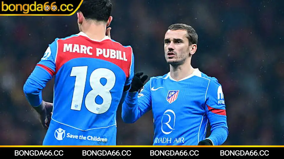 Everton: Bản sắc “The Toffees”, bài toán ổn định và góc nhìn kèo đáng theo dõi mùa 2025/26