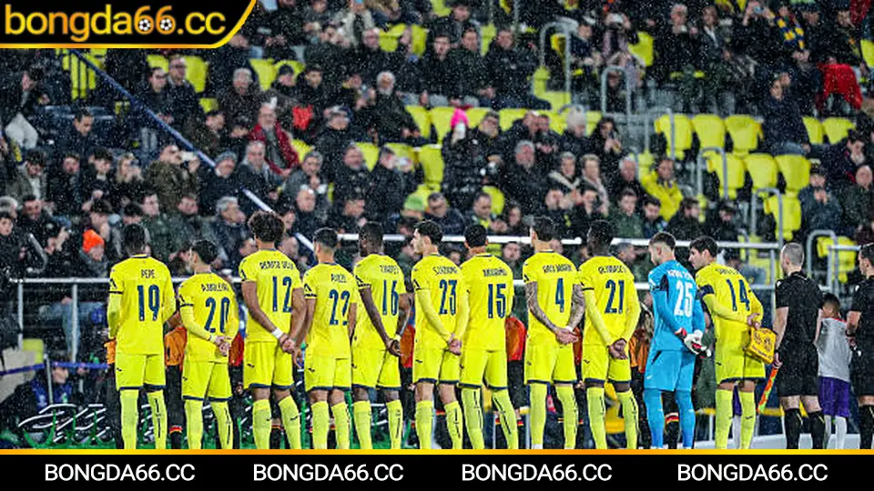 Phân tích chiến thuật Melbourne Victory để soi kèo A-League hiệu quả