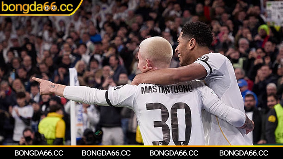 Bóng Đá Trực Tuyến: Hành Trình Lịch Sử, Phân Tích Sâu Sắc Và Bí Quyết Cá Cược Thành Công