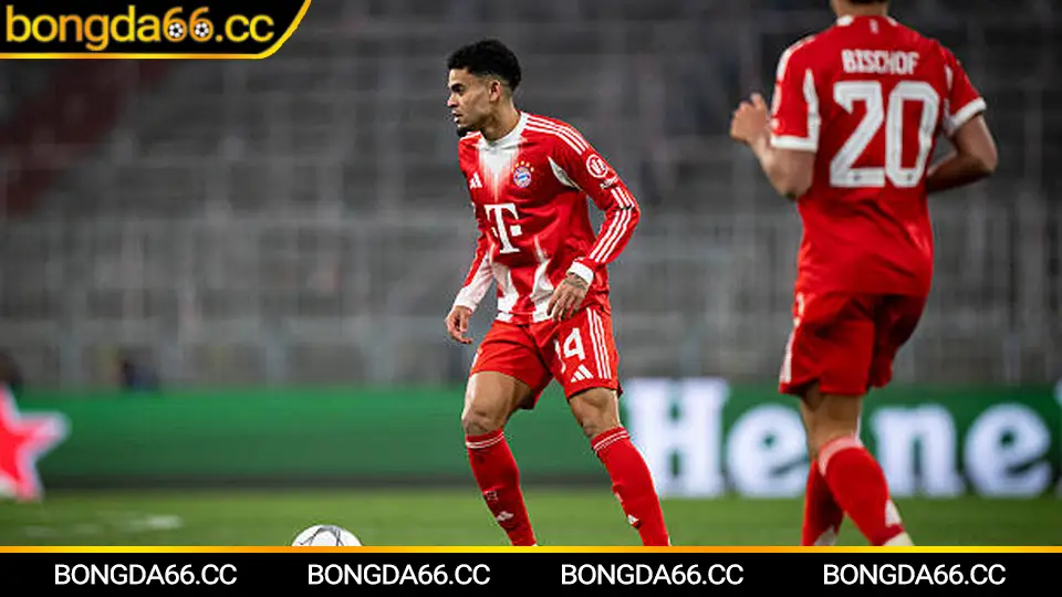 Athletic Bilbao: Bản sắc xứ Basque, sức nặng San Mamés và góc nhìn kèo nhà cái đáng theo dõi 2026