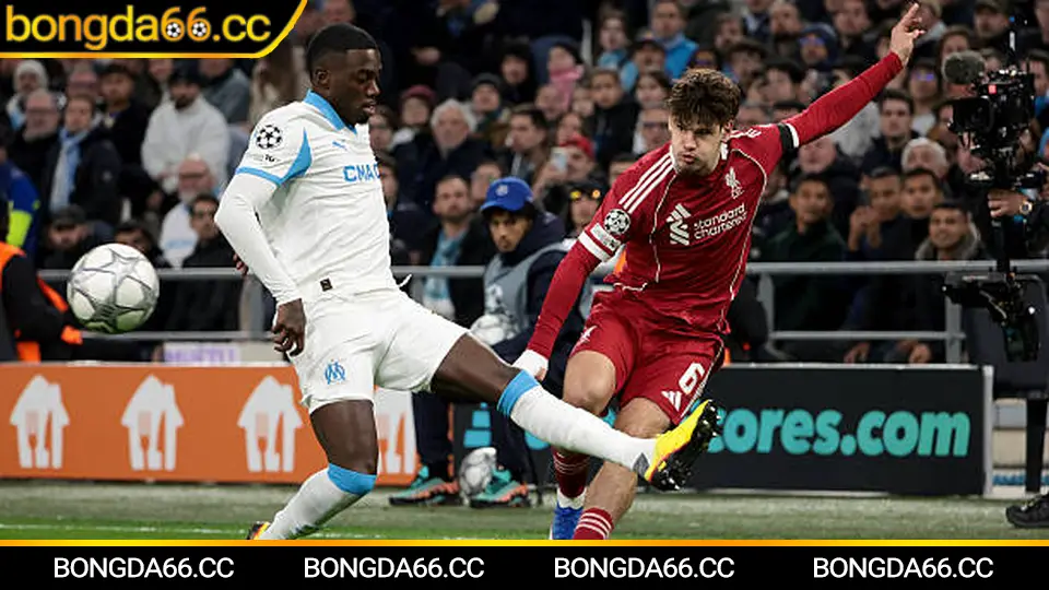 Phân tích kèo Đồng Tháp FC tại giải hạng Nhất Việt Nam 2026