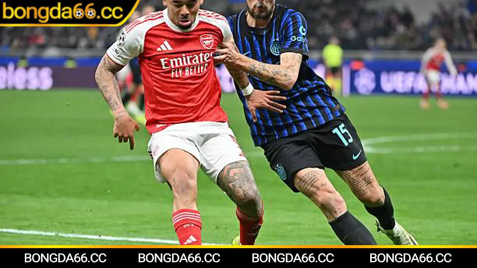 SHB Đà Nẵng 2026: Bản lĩnh đội bóng sông Hàn, xu hướng phong độ và góc nhìn soi kèo cùng bongda66