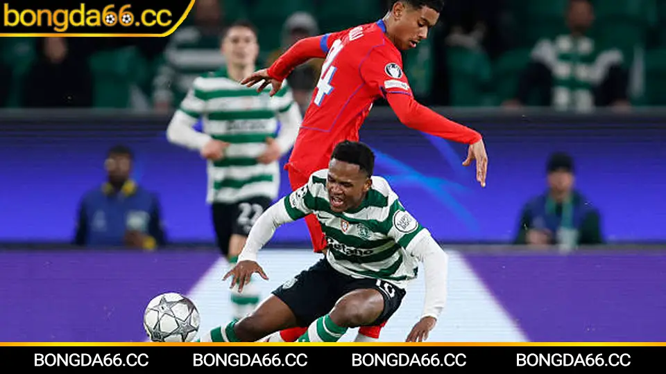 Phú Thọ FC và bản sắc đất Tổ trong phân tích kèo nhà cái 2026