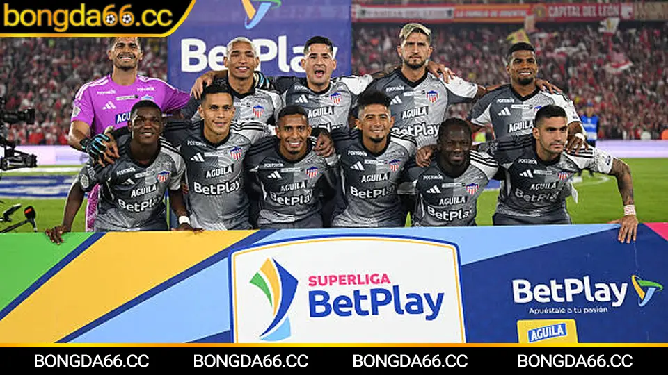 PSV Eindhoven: Bản lĩnh “ông lớn” Hà Lan, xu hướng mùa 2025/26 và góc nhìn kèo đáng chú ý trên bongda66