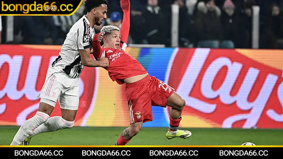 Rangers: Bản sắc Ibrox, tham vọng châu Âu và góc nhìn kèo nhà cái đáng theo dõi