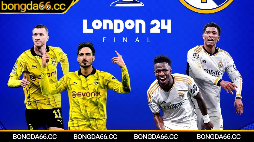 Soi kèo Al Ain trên bongda66: xu hướng tỷ lệ và dự báo 2026