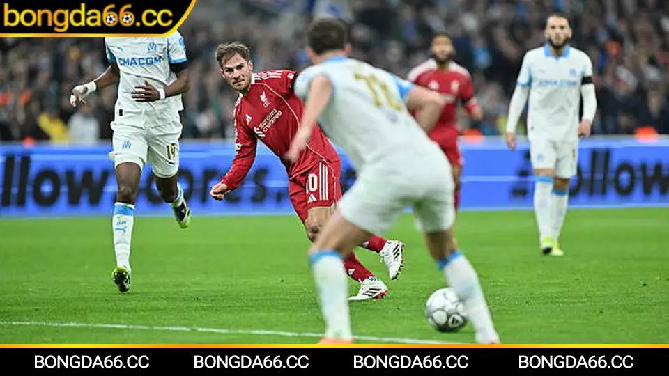 Soi kèo Đồng Tháp FC trên bongda66 theo lịch đấu và phong độ 2026