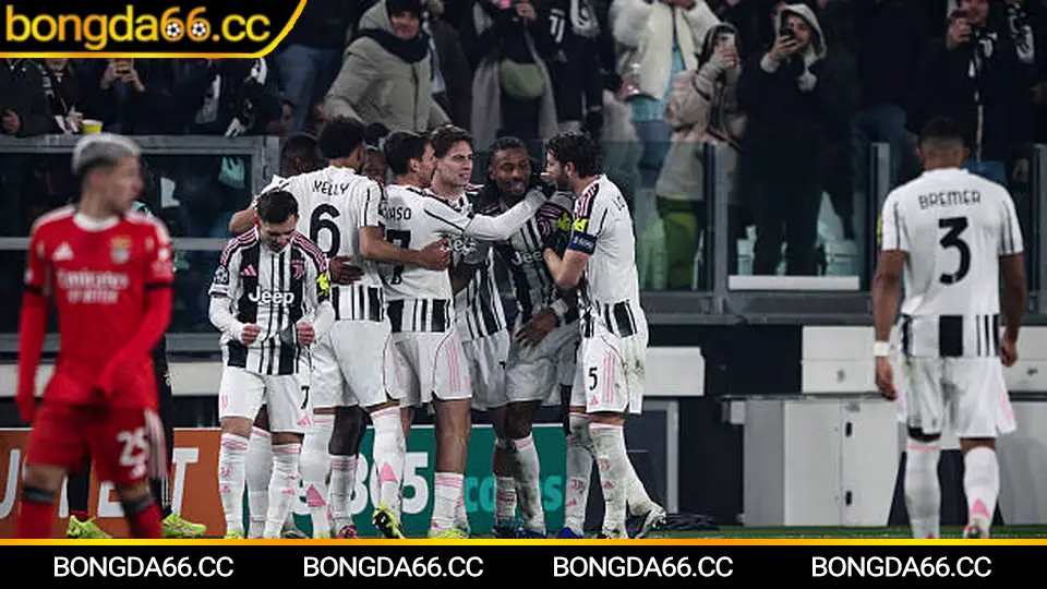 Soi kèo Fiorentina: xu hướng tài xỉu, phạt góc và kèo châu Á